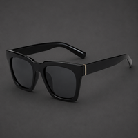 Hudson Sunglasses