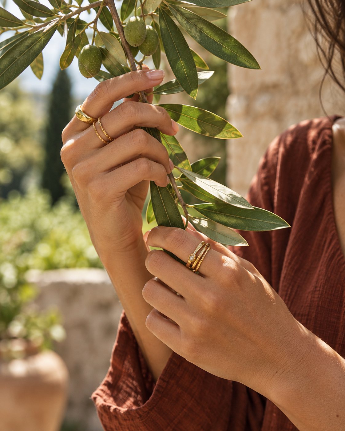 Under the olive tree